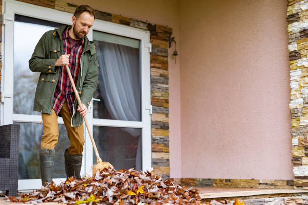 Attic Cleanout Services in Brookland, AR